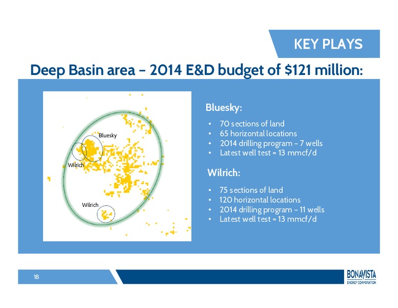 CIBC 17TH ANNUAL WHISTLER INSTITUTIONAL INVESTOR CONFERENCE – Bonavista Energy Corp – slide 17