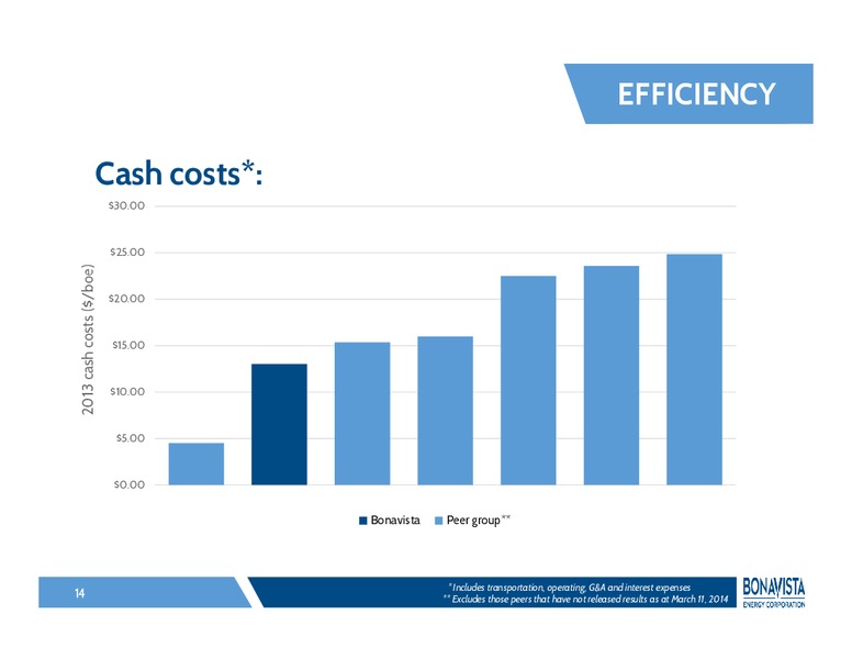 INVESTOR PRESENTATION – Bonavista Energy Corp – slide 13