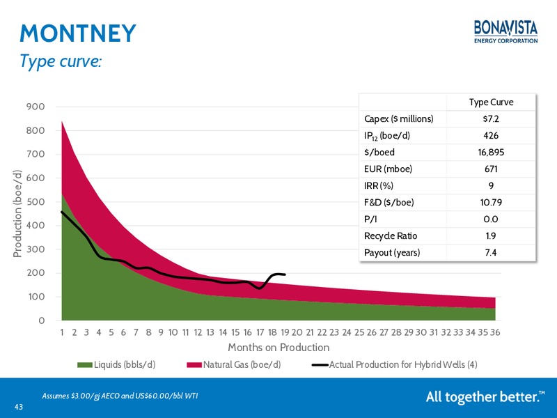 MARCH 2015 INVESTOR PRESENTATION – Bonavista Energy Corp – slide 42