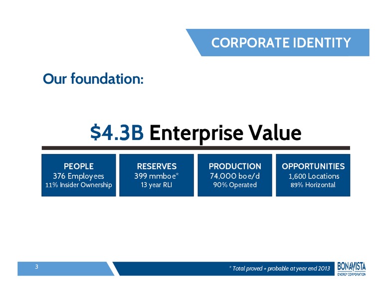INVESTOR PRESENTATION – Bonavista Energy Corp – slide 2