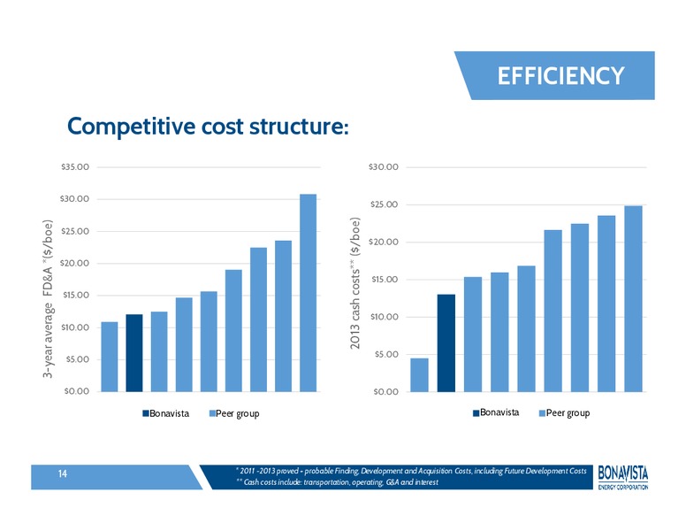 2014 ANNUAL GENERAL MEETING – Bonavista Energy Corp – slide 13