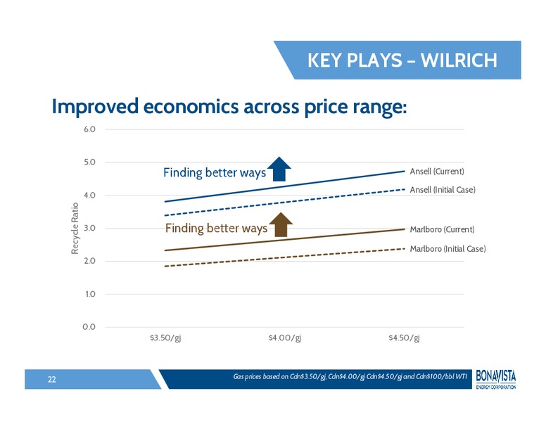 INVESTOR PRESENTATION – Bonavista Energy Corp – slide 21