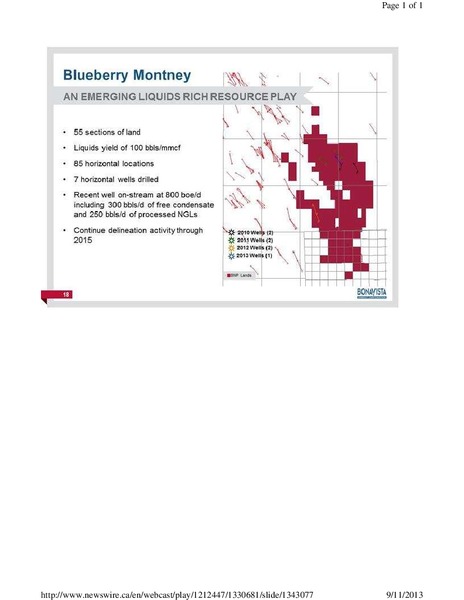PETERS & CO LIMITED 2013 ENERGY CONFERENCE – Bonavista Energy Corp – slide 18