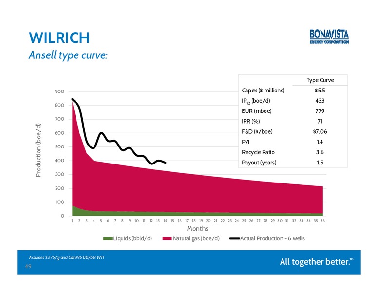 PETERS & CO 2014 ENERGY CONFERENCE – Bonavista Energy Corp – slide 48