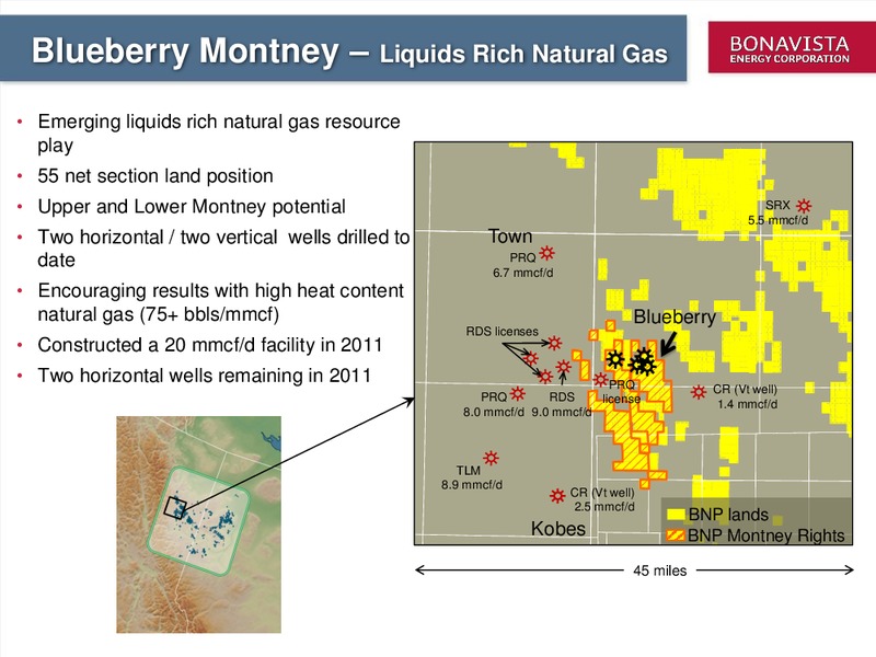 PETERS 2011 NORTH AMERICAN OIL & GAS CONFERENCE – Bonavista Energy Corp – slide 21