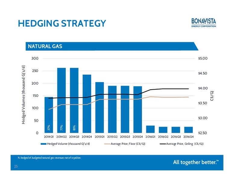 Investor Presentation – Bonavista Energy Corp – slide 24
