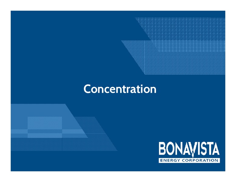Analyst Day – Bonavista Energy Corp – slide 14