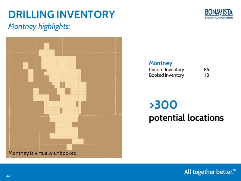 ANALYST DAY – Bonavista Energy Corp – slide 43
