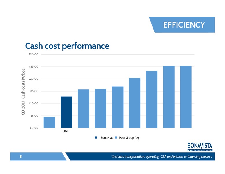 FirstEnergy Capital Societe Generale Montreal Energy Conference – Bonavista Energy Corp – slide 13