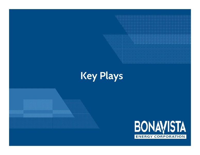 FirstEnergy Capital Societe Generale Montreal Energy Conference – Bonavista Energy Corp – slide 24