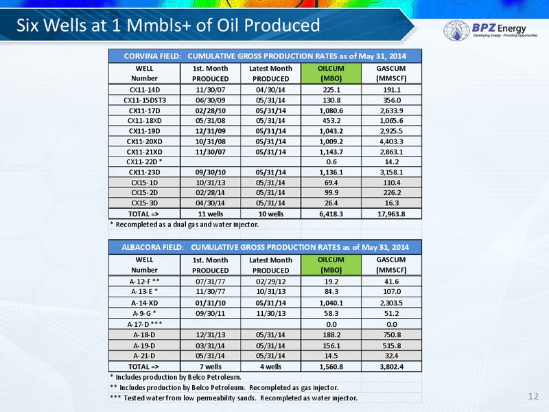 Annual Shareholder's Meeting – Bpz Resources, Inc. – slide 11