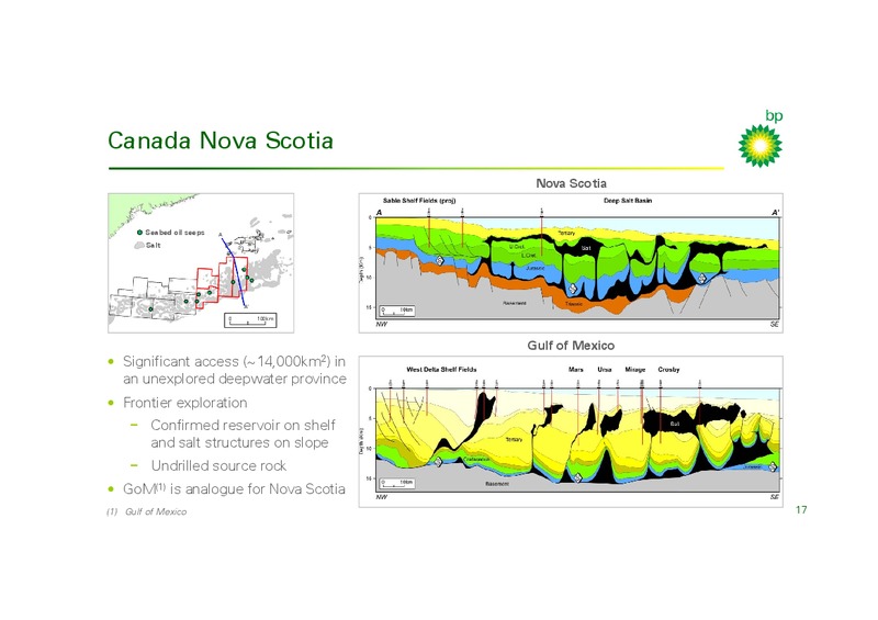 Investor Presentation – Bp Energy Partners Lp – slide 16