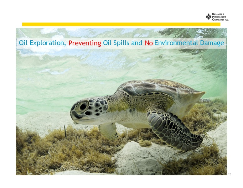 June 2014 Investor Presentation – Bahamas Petroleum – slide 13