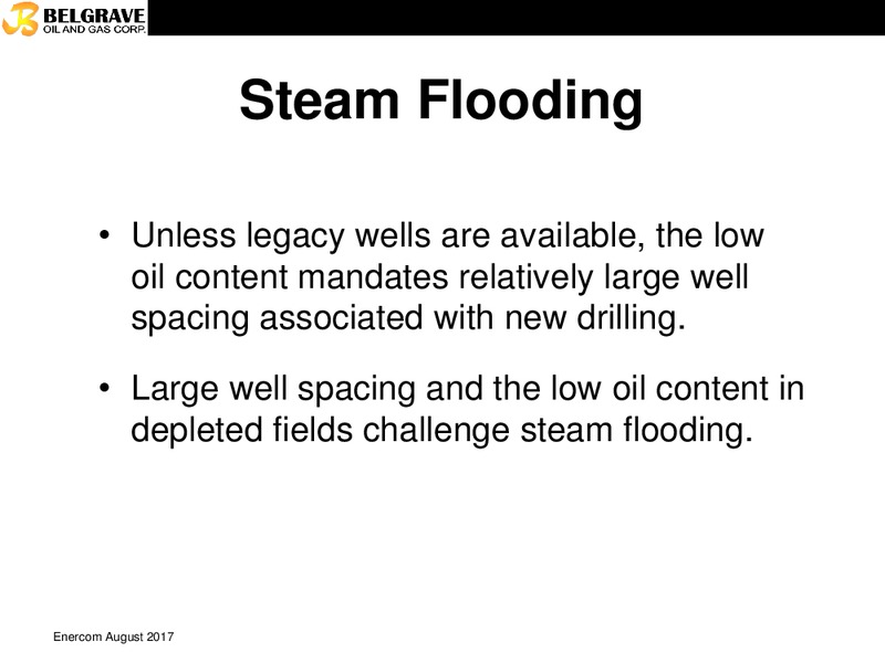 EnerCom The Oil and Gas Conference – Belgrave Oil and Gas Corporation – slide 9