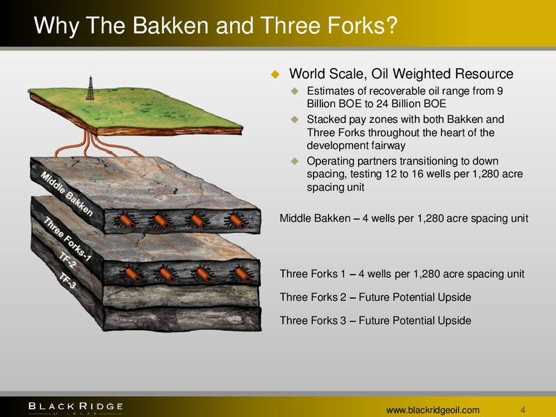 FEBRUARY 2014 INVESTOR PRESENTATION – Black Ridge Oil & Gas, Inc. – slide 3