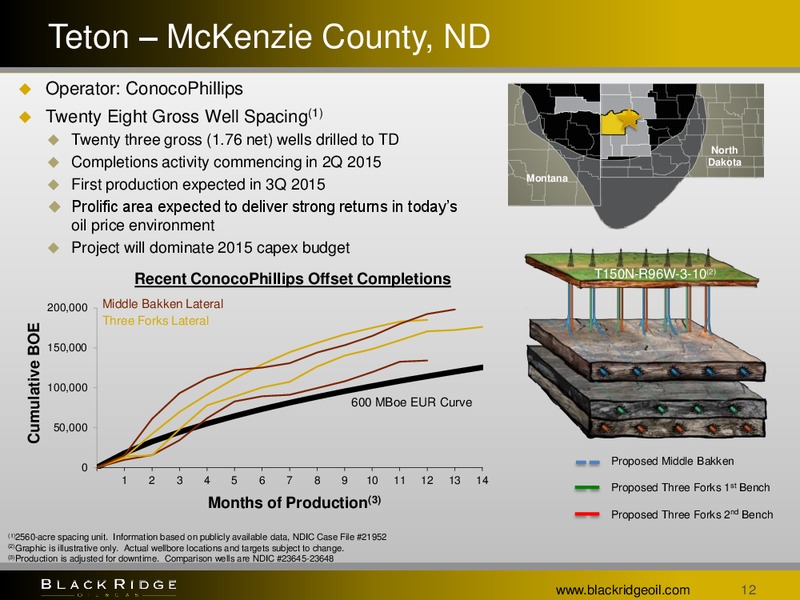 JULY 2015 INVESTOR PRESENTATION – Black Ridge Oil & Gas, Inc. – slide 11
