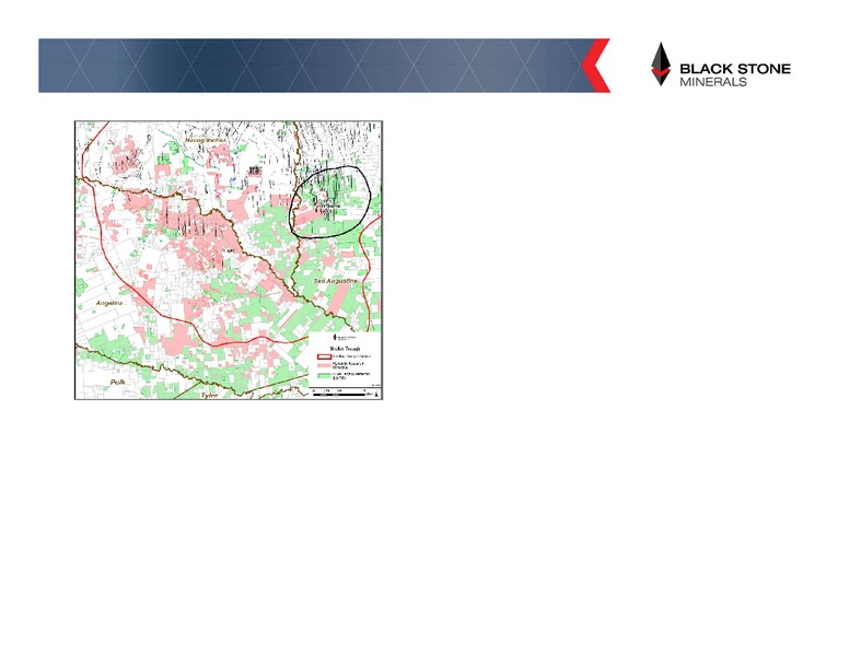 IPAA Oil and Gas Investment Symposium – Black Stone Minerals, L.P. – slide 12