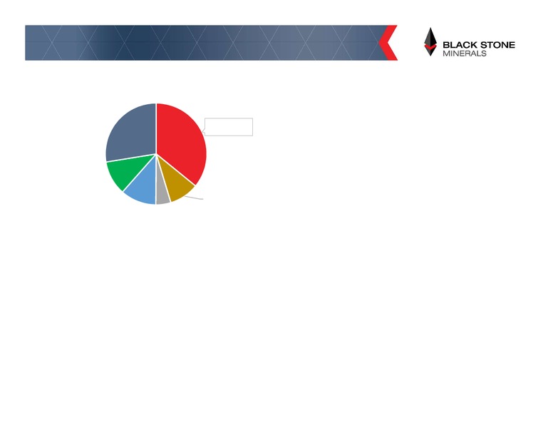 IPAA Oil and Gas Investment Symposium – Black Stone Minerals, L.P. – slide 19