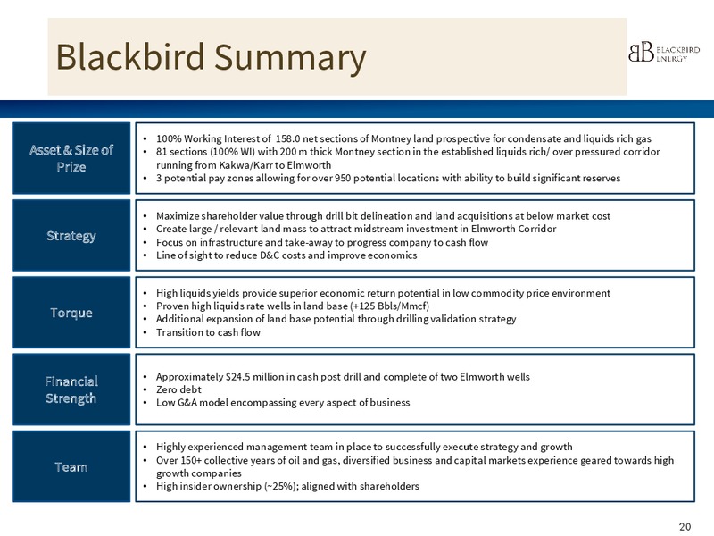 May 2015 Investor Presentation – Blackbird Energy Inc. – slide 19