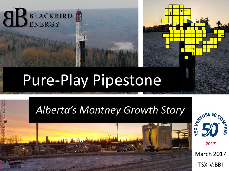 March 2017 Investor Presentation – Blackbird Energy Inc. – slide 1