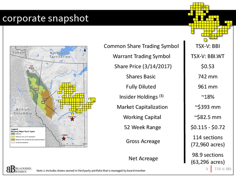 March 2017 Investor Presentation – Blackbird Energy Inc. – slide 2