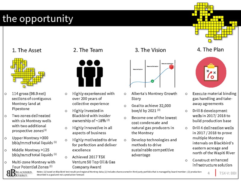 March 2017 Investor Presentation – Blackbird Energy Inc. – slide 3