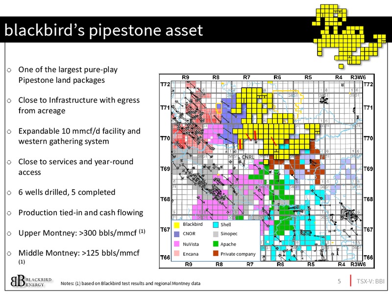 March 2017 Investor Presentation – Blackbird Energy Inc. – slide 4