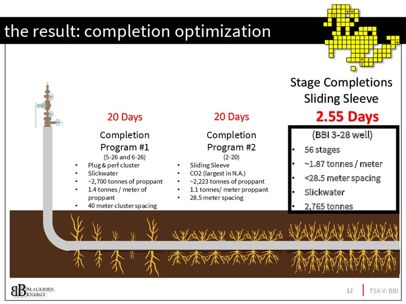 March 2017 Investor Presentation – Blackbird Energy Inc. – slide 11