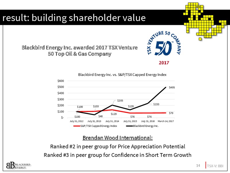 March 2017 Investor Presentation – Blackbird Energy Inc. – slide 13