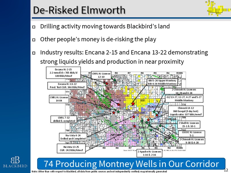 EnerCom The Oil and Gas Conference 2015 – Blackbird Energy Inc. – slide 11