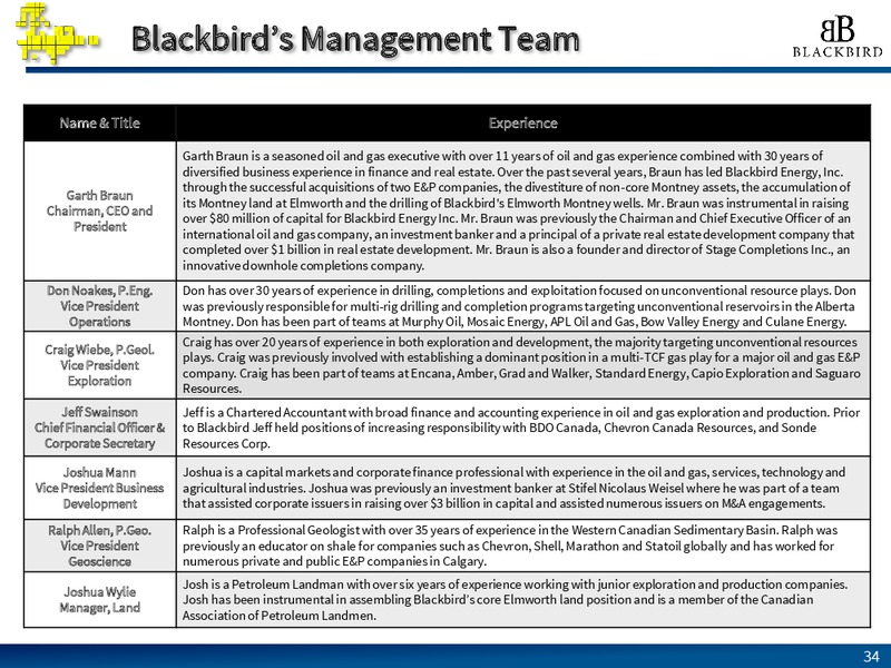 EnerCom The Oil and Gas Conference – Blackbird Energy Inc. – slide 28