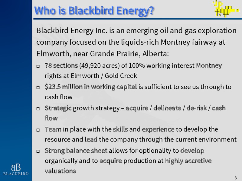 September 2015 Investor Presentation – Blackbird Energy Inc. – slide 2