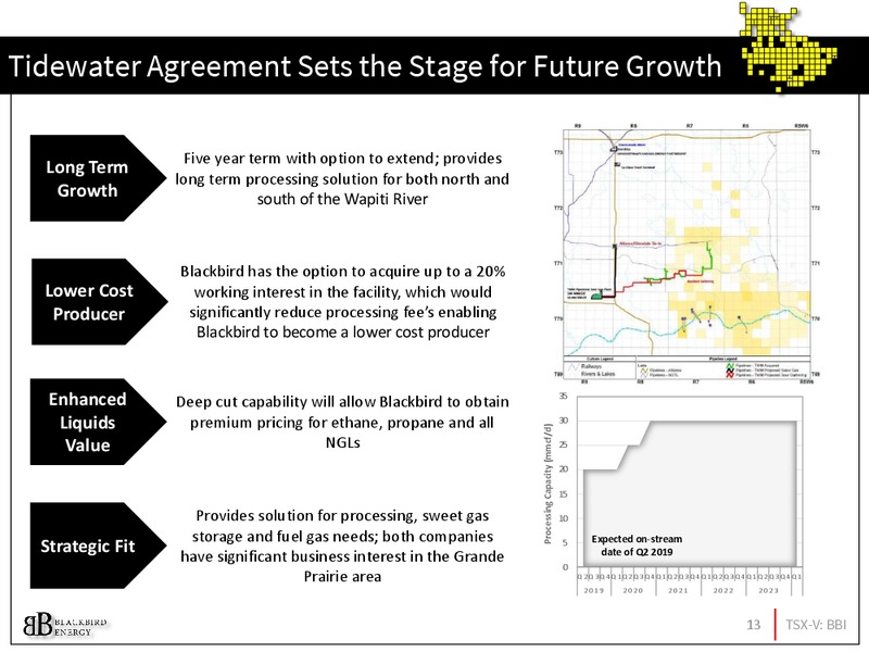 November 2017 Investor Presentation – Blackbird Energy Inc. – slide 13