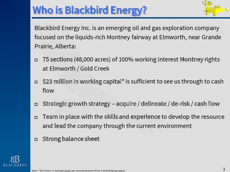 November 2015 Company Presentation – Blackbird Energy Inc. – slide 2