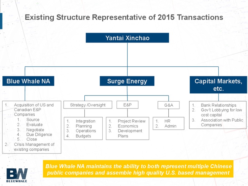 DUG Permian Conference – Blue Whale Energy – slide 11