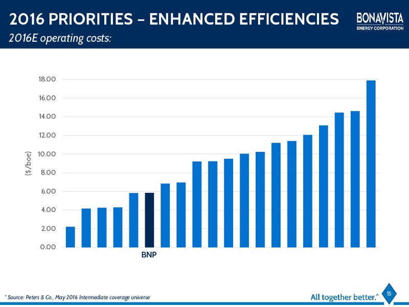 Annual General Meeting – Bonavista Energy Corp – slide 12
