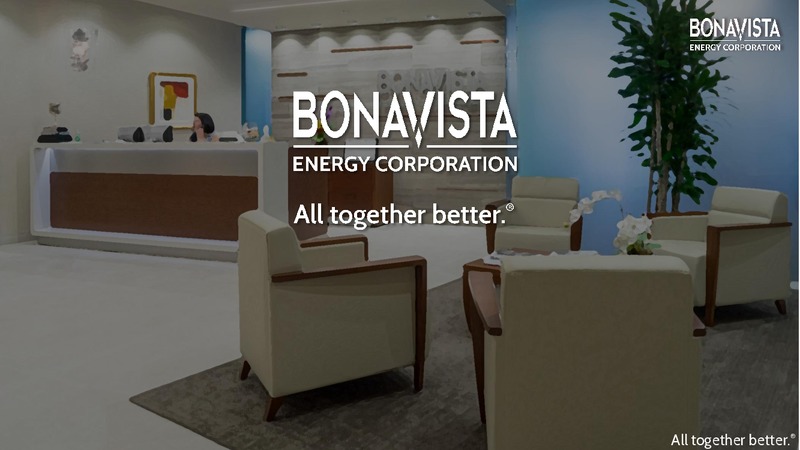 Analyst Day – Bonavista Energy Corp – slide 87