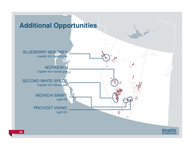 FirstEnergy Capital East Coast Energy Conference – Bonavista Energy Corp – slide 33