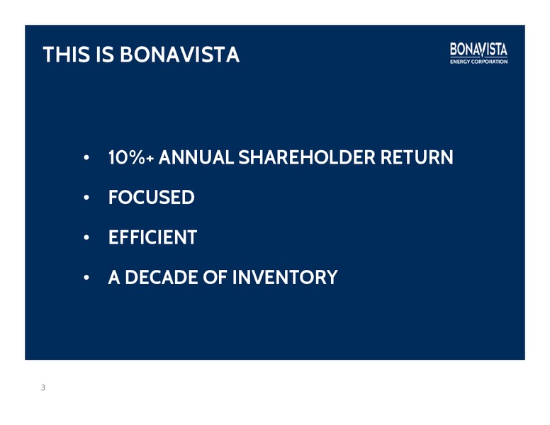 Peters & Co 18th Annual Energy Conference – Bonavista Energy Corp – slide 2