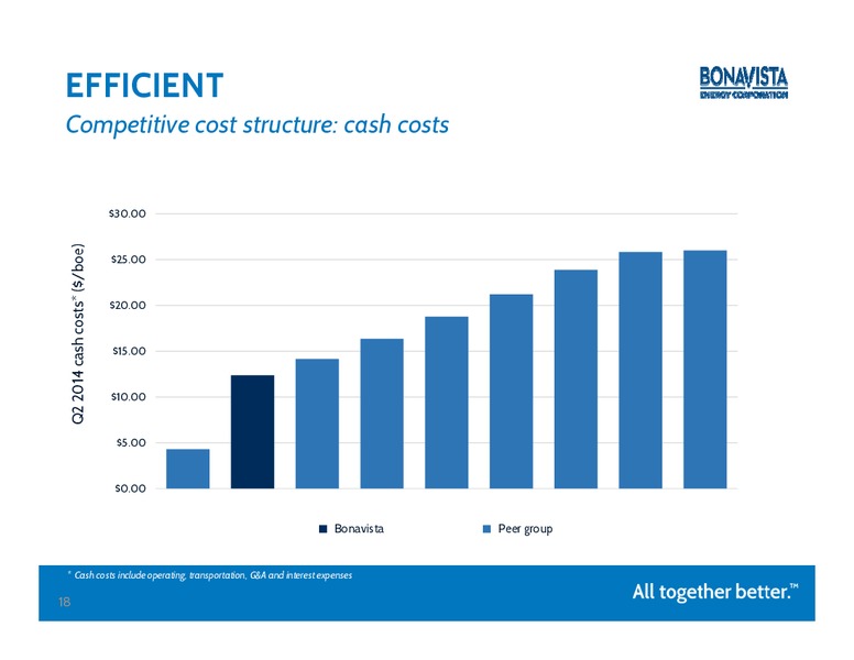 Peters & Co 18th Annual Energy Conference – Bonavista Energy Corp – slide 17