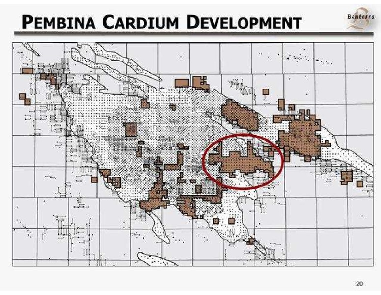 PETERS AND CO LIMITED 2013 ENERGY CONFERENCE – Bonterra Energy Corp – slide 20