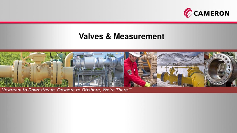 INVESTOR RELATIONS PRESENTATION – Cameron International Corporation – slide 20
