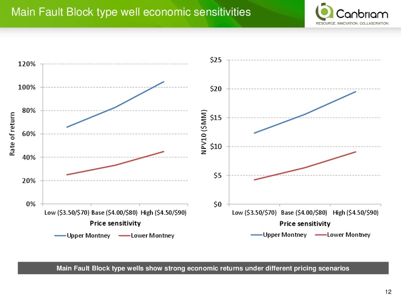INVESTOR PRESENTATION – Canbriam Energy – slide 12