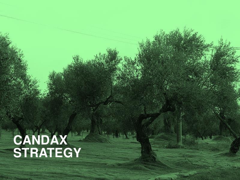INVESTOR PRESENTATION – Candax Energy Inc. – slide 24