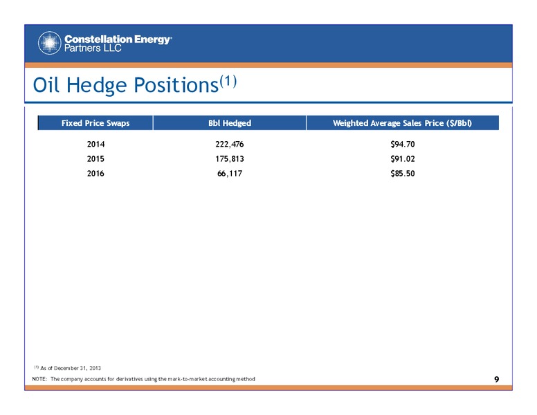 Fourth Quarter and Full Year 2013 Earnings Presentation – Constellation Energy Group Inc. – slide 8