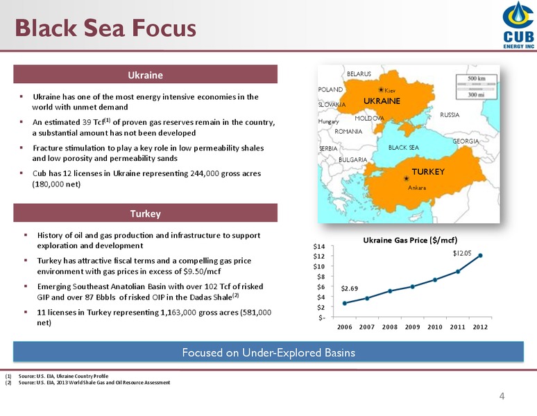 Investor Presentation – Cub Energy Inc. – slide 3