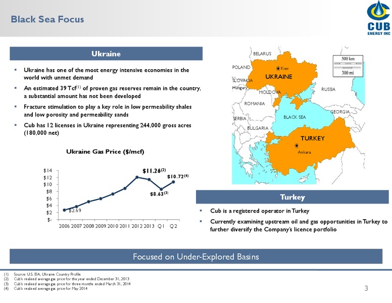 Ukrainian Energy Forum – Cub Energy Inc. – slide 2