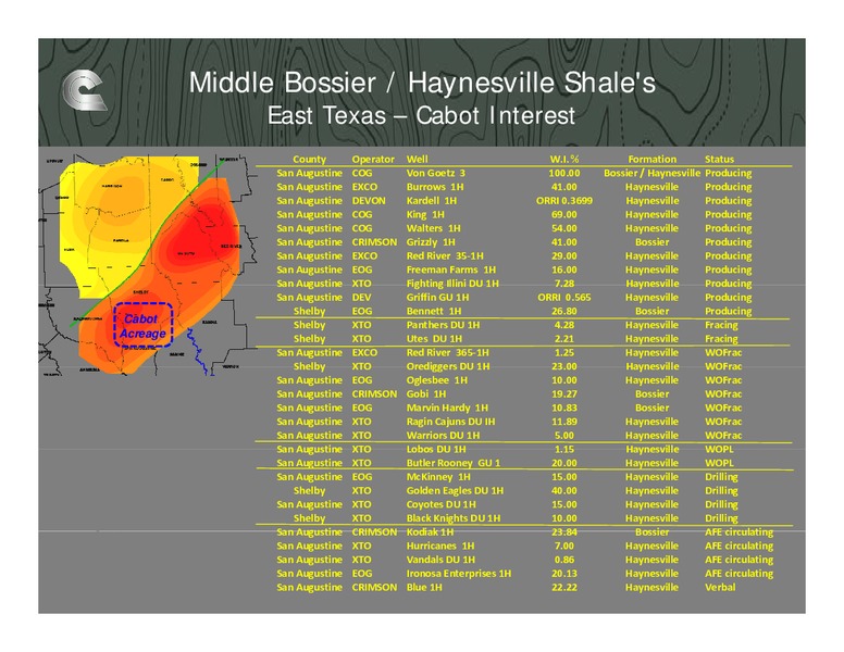 Johnson Rice 2nd Annual Energy Conference – Cabot Oil & Gas Corp – slide 19