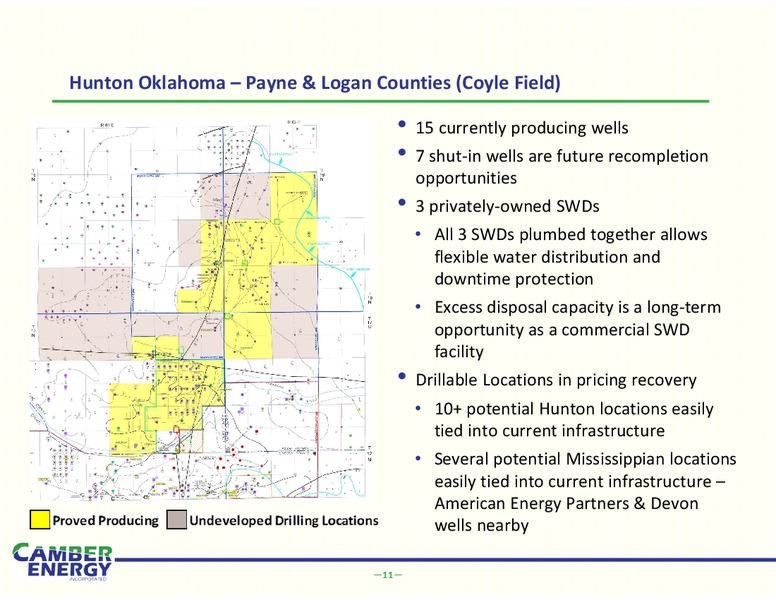 IPAA – Camber Energy Inc. – slide 9