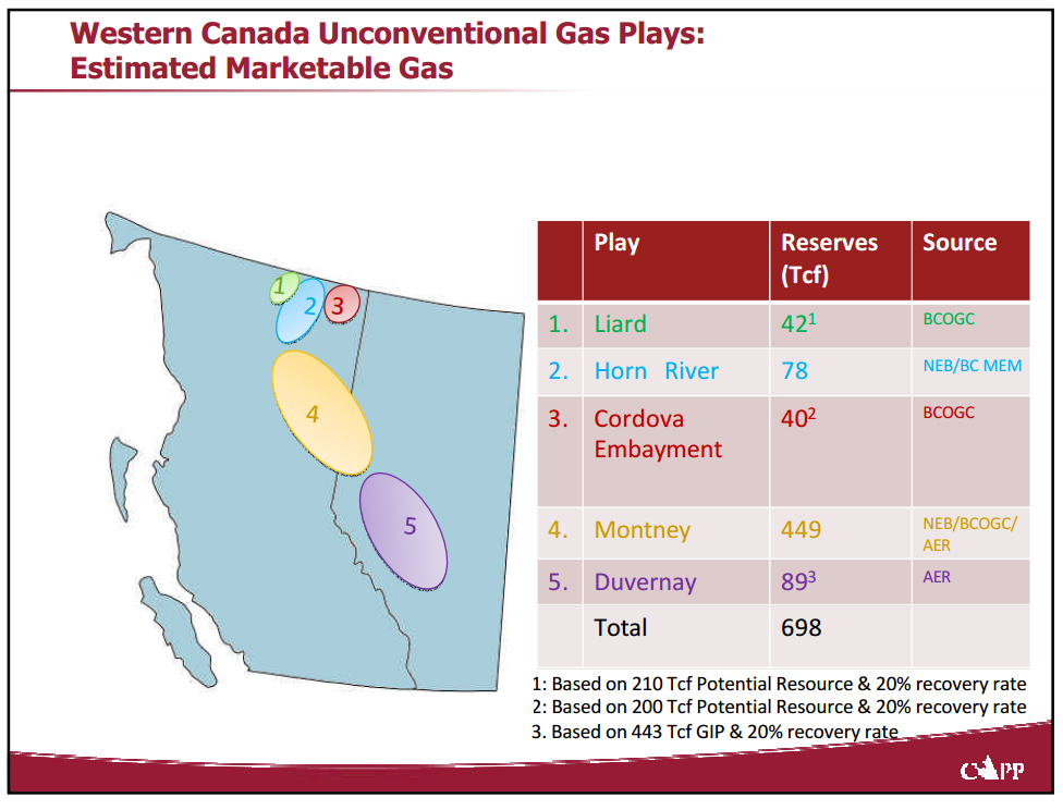 Market Access for Canadian Oil and Gas – Capp Petroleum Llc – slide 19